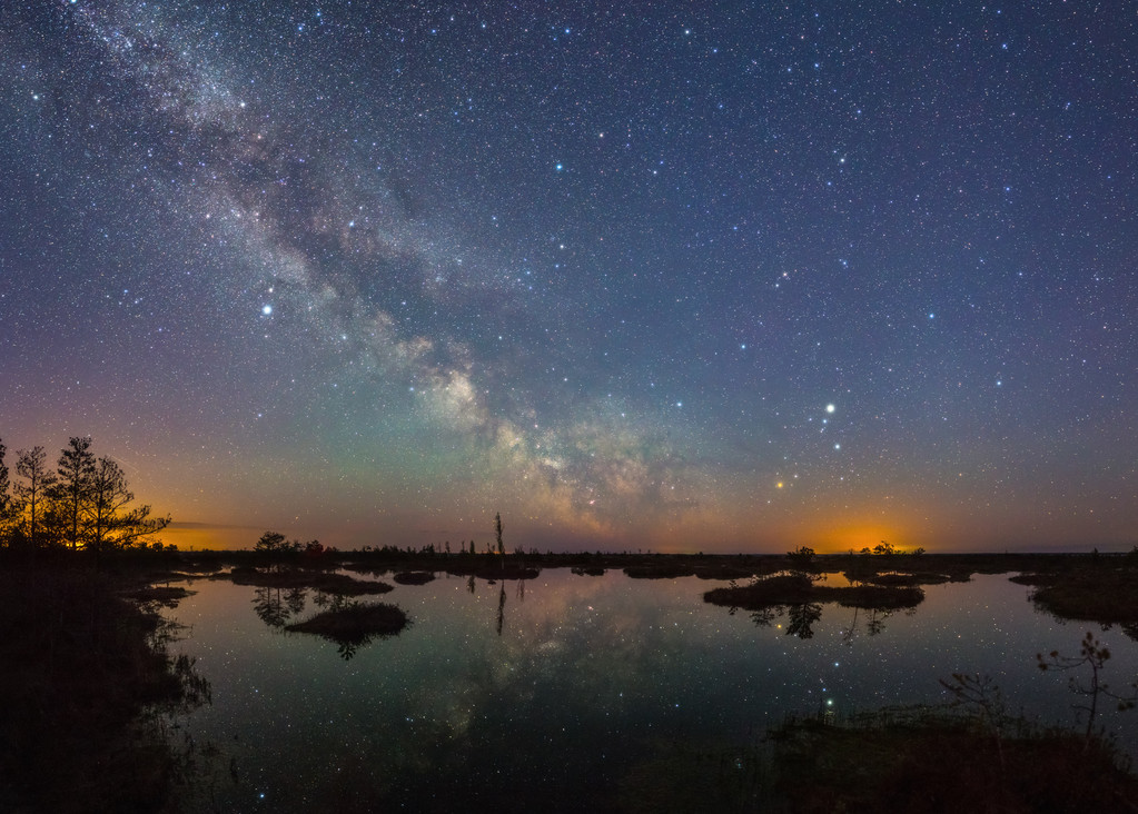 星夜在沼泽照片