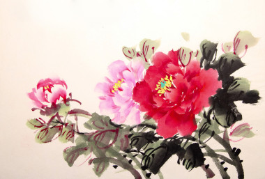 中國牡丹墨跡繪圖照片