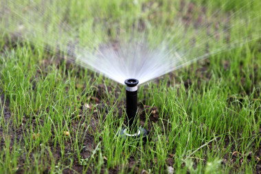 spinkler 在花園-彩色圖像