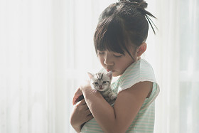 亚洲女孩和美国短毛猫猫玩照片