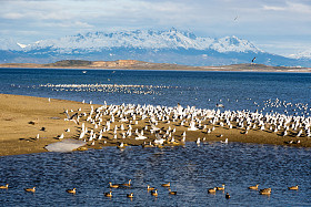 在南阿根廷，巴塔哥尼亚乌斯怀亚城市的美丽场景