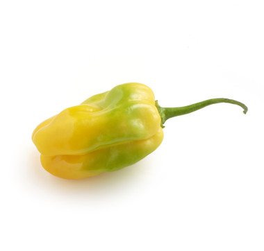綠色斑點的新鮮和美味的黃辣椒青椒切穿過