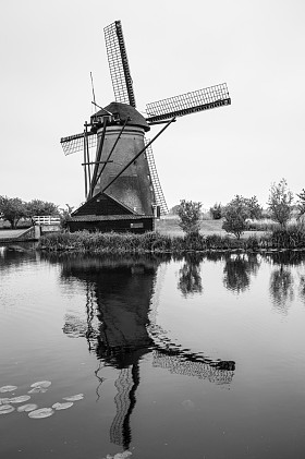 传统的荷兰风车