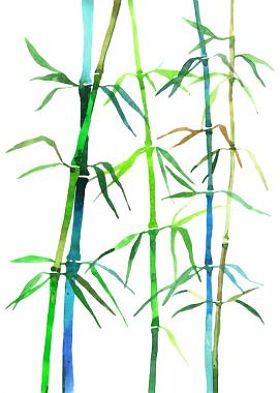 水彩插图竹照片