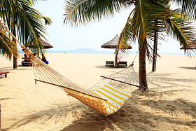 在三亚海边椰树图片