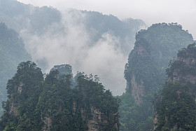 高大的山峰的袁家界图片