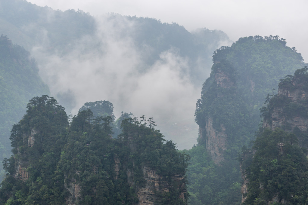 高大的山峰的袁家界图片