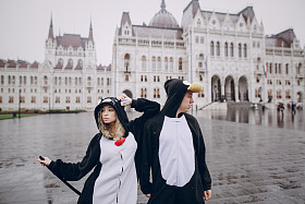 婚礼那天在布达佩斯图片