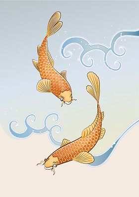 两个锦鲤