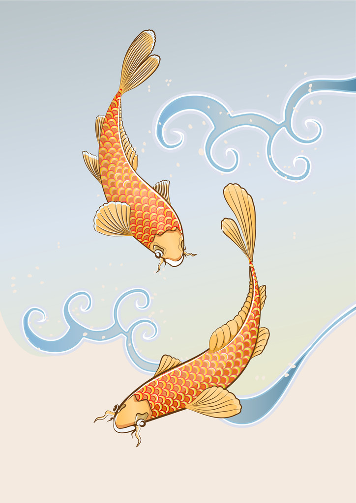 两个锦鲤
