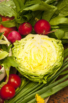 白菜和萝卜的蔬菜