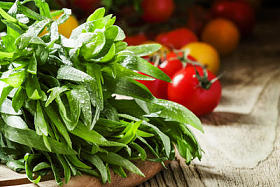 新鲜的绿色龙舌兰，樱桃番茄图片