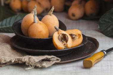 春季水果、 新鮮枇杷中厚板