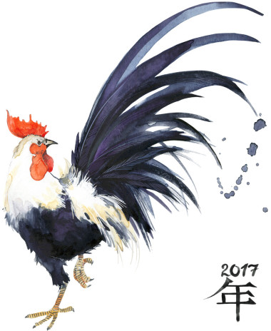 公雞雞年2017年中國(guó)農(nóng)歷雞年水彩插圖公雞中國(guó)畫(huà)新的一年