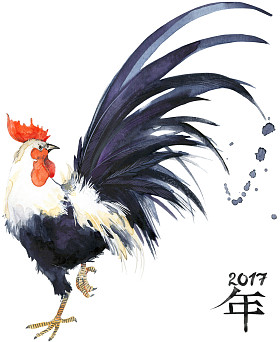公鸡鸡年2017年中国农历鸡年水彩插图公鸡中国画新的一年