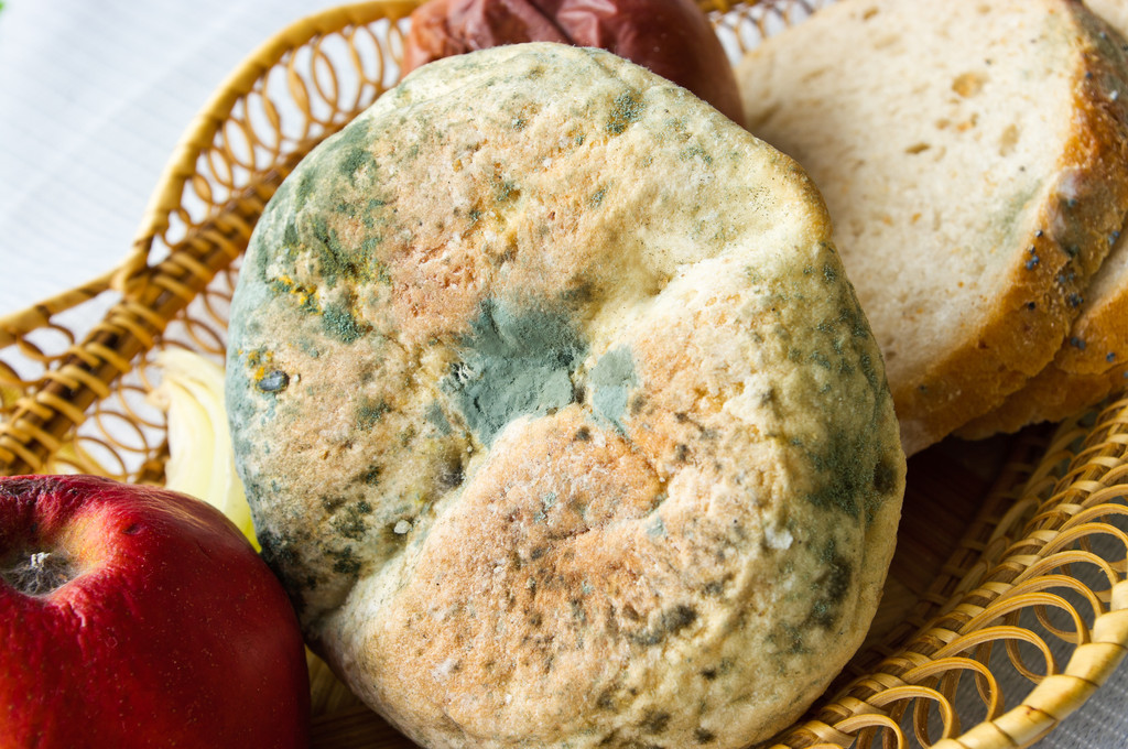 老不适于食用的食物 老不适于食用的食物