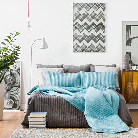 宽敞的卧室、 现代家具图片