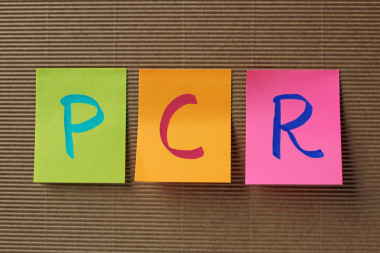 多彩的粘滯便箋上的 Pcr （聚合酶鏈反應(yīng)） 縮寫