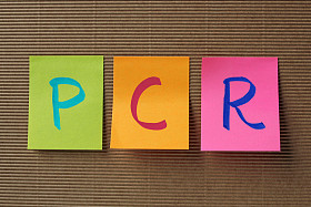 多彩的粘滞便笺上的 Pcr （聚合酶链反应） 缩写