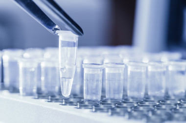 加載為 pcr dna 樣本
