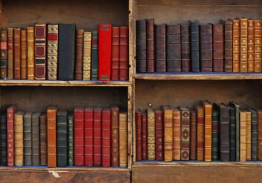 葡萄酒書 2圖片