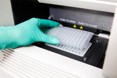 綠色手套、 熱 pcr 循環(huán)、 dna 復(fù)制、 寬