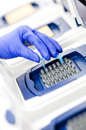 科学家用 dna 复制、 实时循环角度