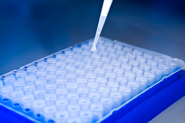 頂視圖、 放上提示的上述細(xì)胞板移液器