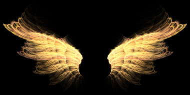 地狱金翅膀图片