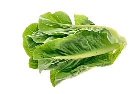 婴儿生菜照片