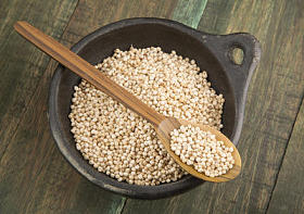 珍珠弥助中木勺子和碗.照片