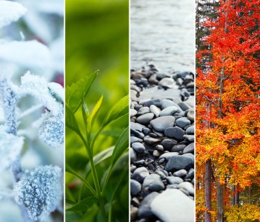 生命周期概念 生命周期概念