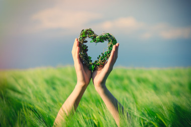 女的手和玩具图片