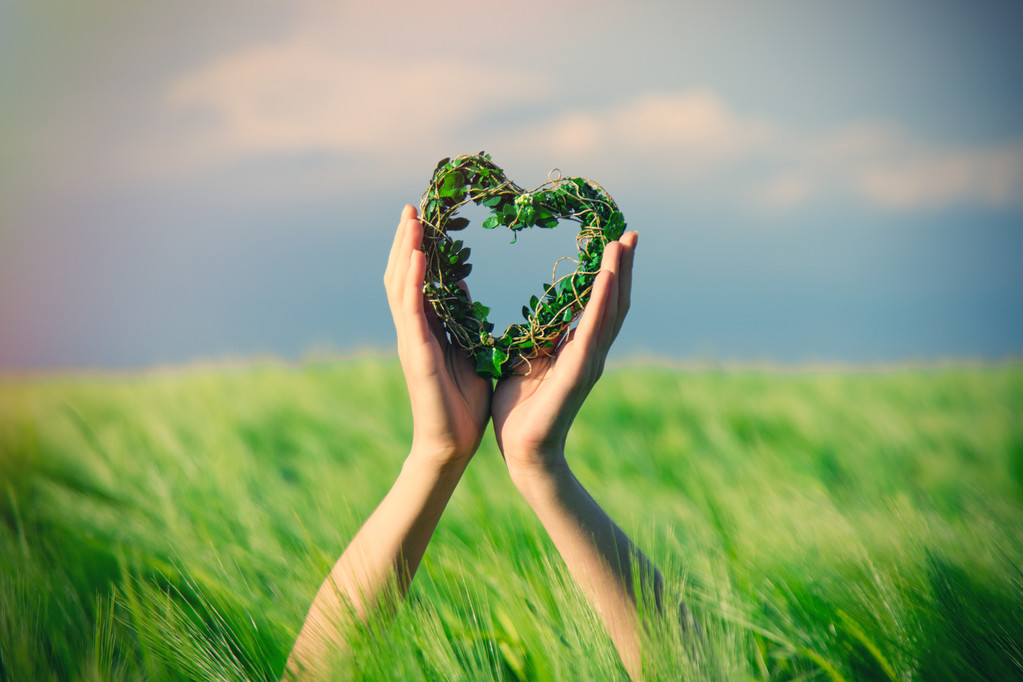 女的手和玩具图片