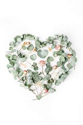 用米色玫瑰的心照片