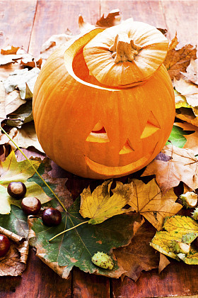 秋天的树叶与南瓜