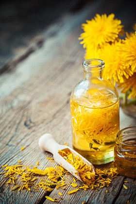 瓶蒲公英酊或油、 花束和蜂蜜
