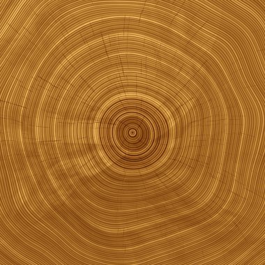 樹的交叉部分。特寫木切背景。木材