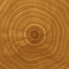 树的交叉部分。特写木切背景。木材