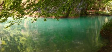 天使在哪兒游泳圖片