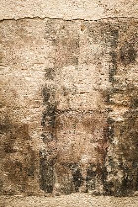 棕色球衣墙照片