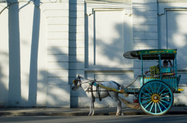 傳統(tǒng)的馬和馬車或 karetela-馬尼拉，菲律賓