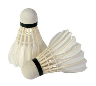 兩個(gè)毽子的羽毛球