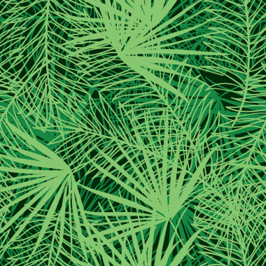 模式與棕櫚樹枝圖片