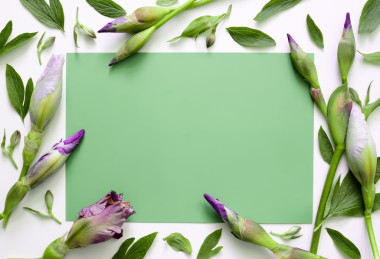 花卉背景机智的文本空间图片