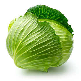 心菜
