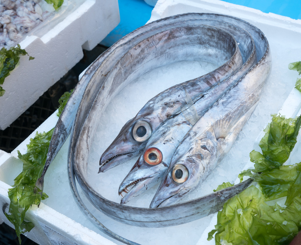 在鱼市场 pesce 班迪