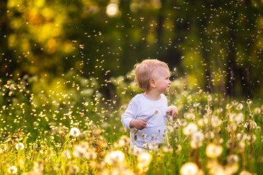 蒲公英的草地上玩耍的男孩圖片
