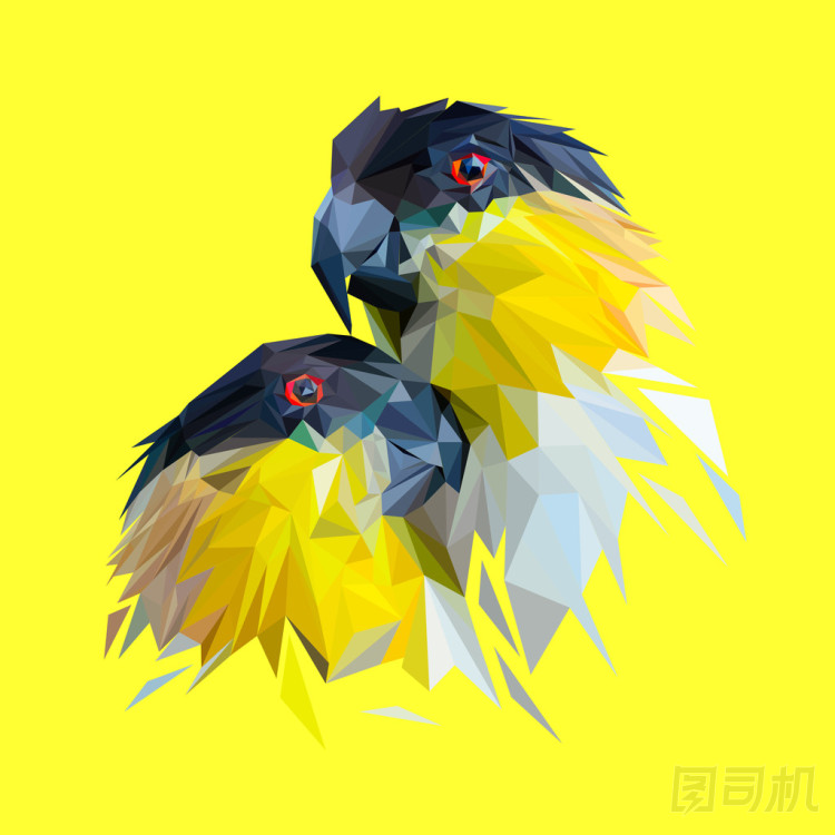 鸚鵡在愛低聚設(shè)計(jì). 照片