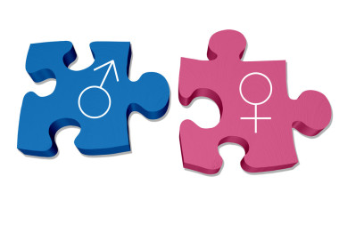 了解男性和女性的相互作用和關(guān)系